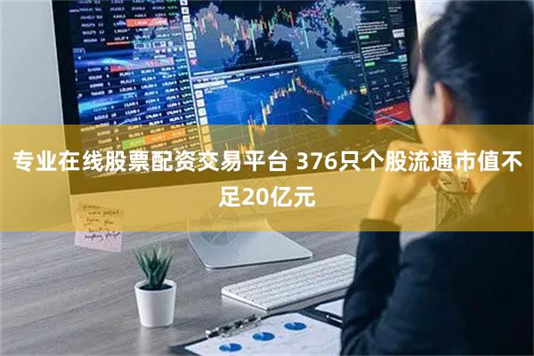 专业在线股票配资交易平台 376只个股流通市值不足20亿元