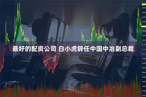 最好的配资公司 白小虎辞任中国中冶副总裁
